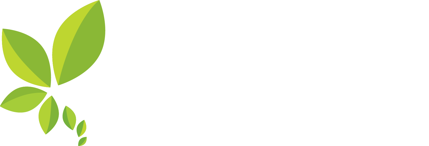 Maoni Consulting